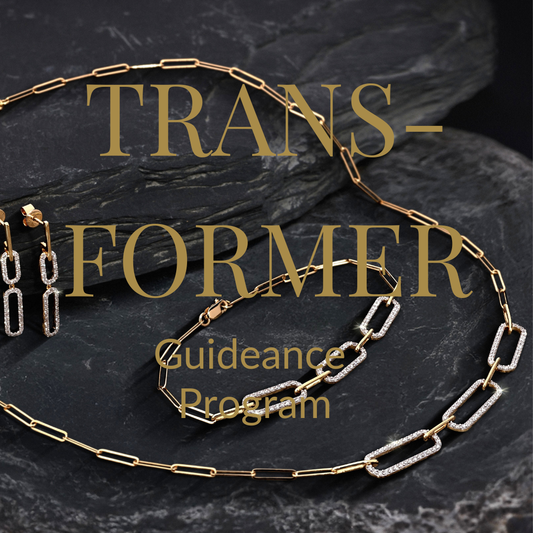 Transformer Guidance Program